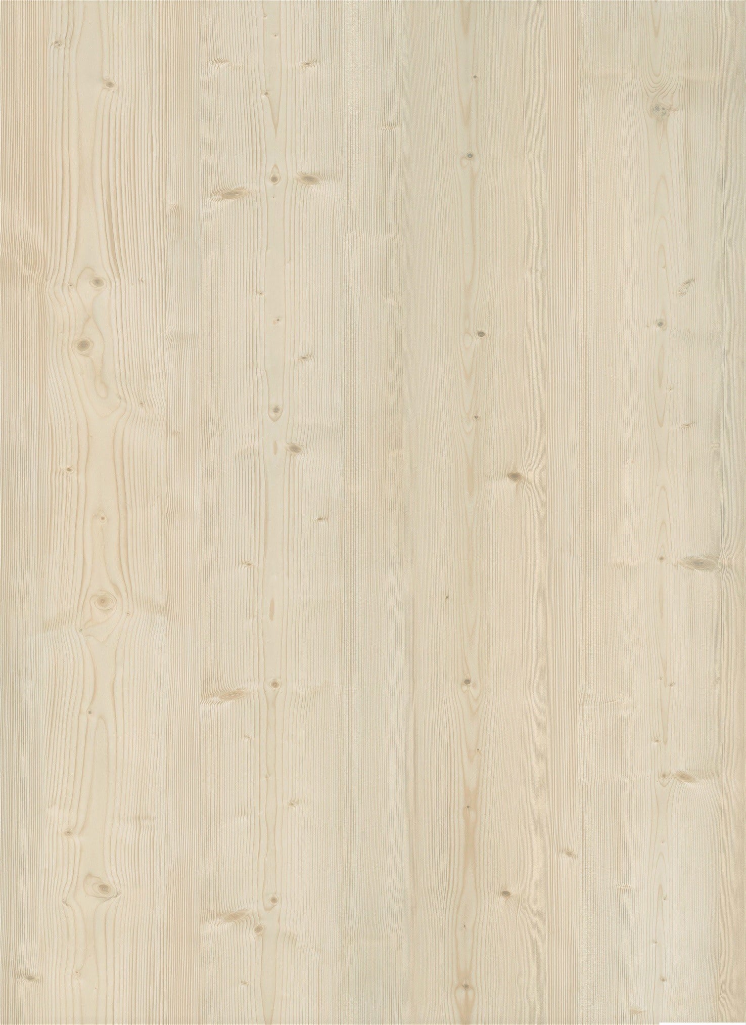 Elite large fyr LVT gulv med korkbagside