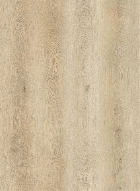 Elite large lys eg LVT gulv med korkbagside