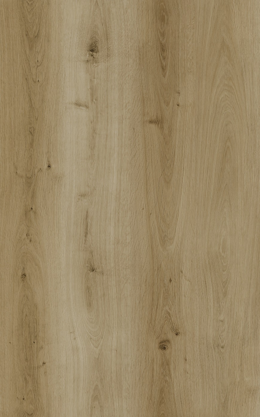 Elite large lys natur LVT gulv med korkbagside