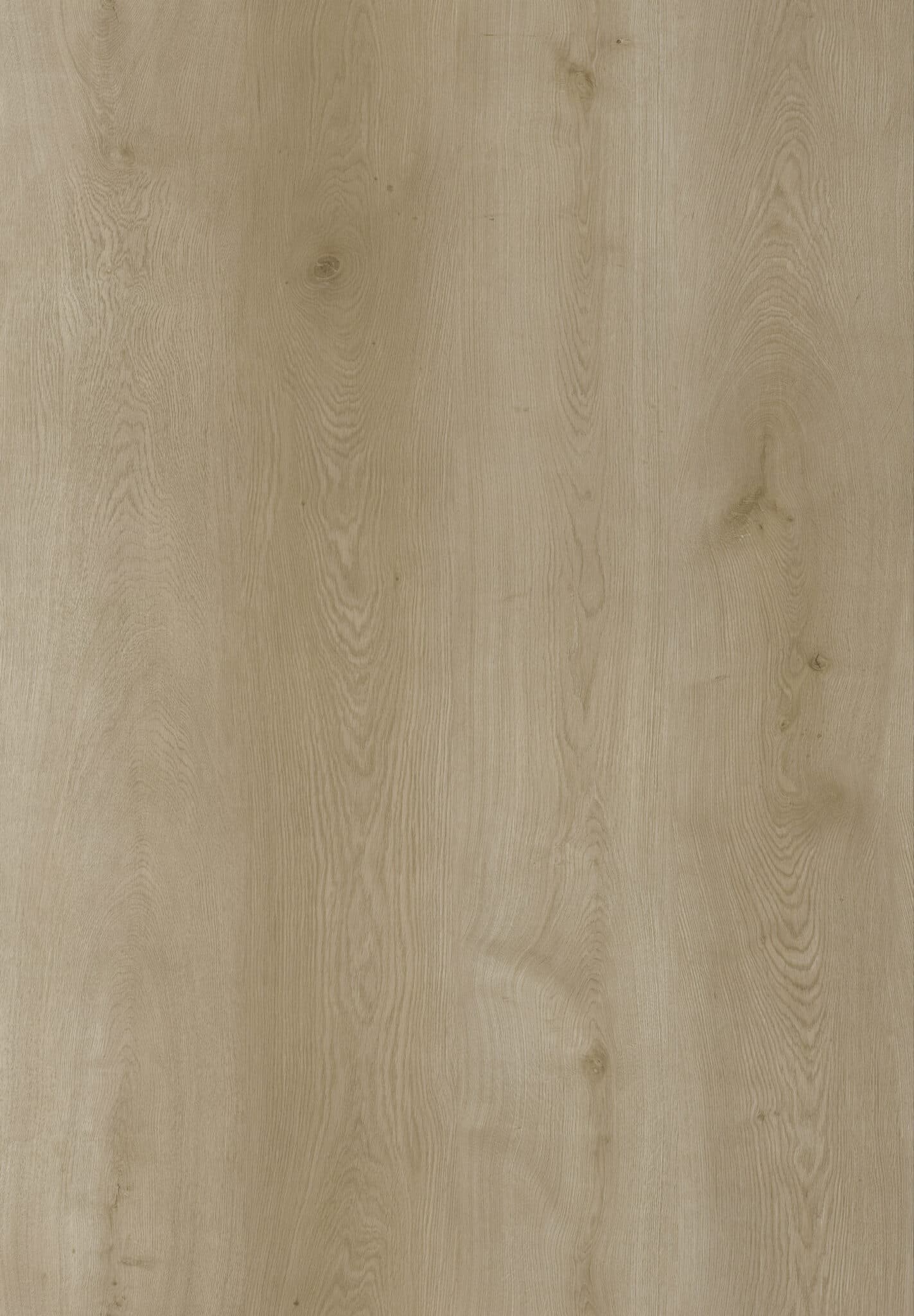 Fairline large planke lys eg LVT gulv med korkbagside