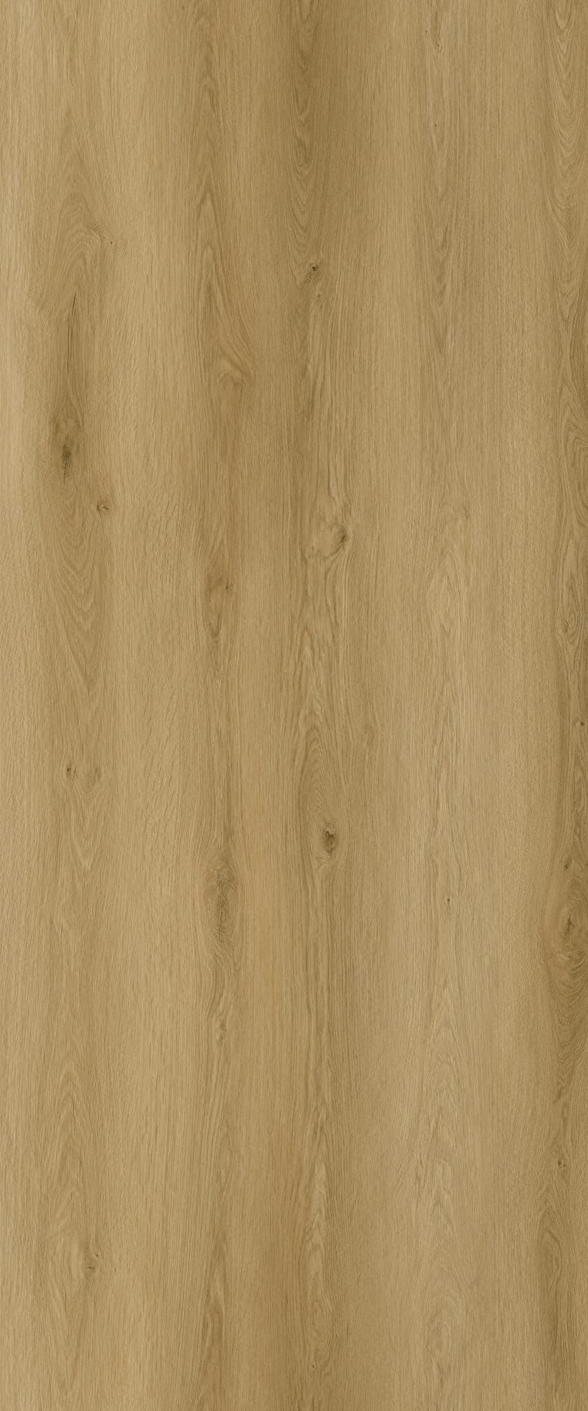 Fairline large planke lys natur LVT gulv med korkbagside