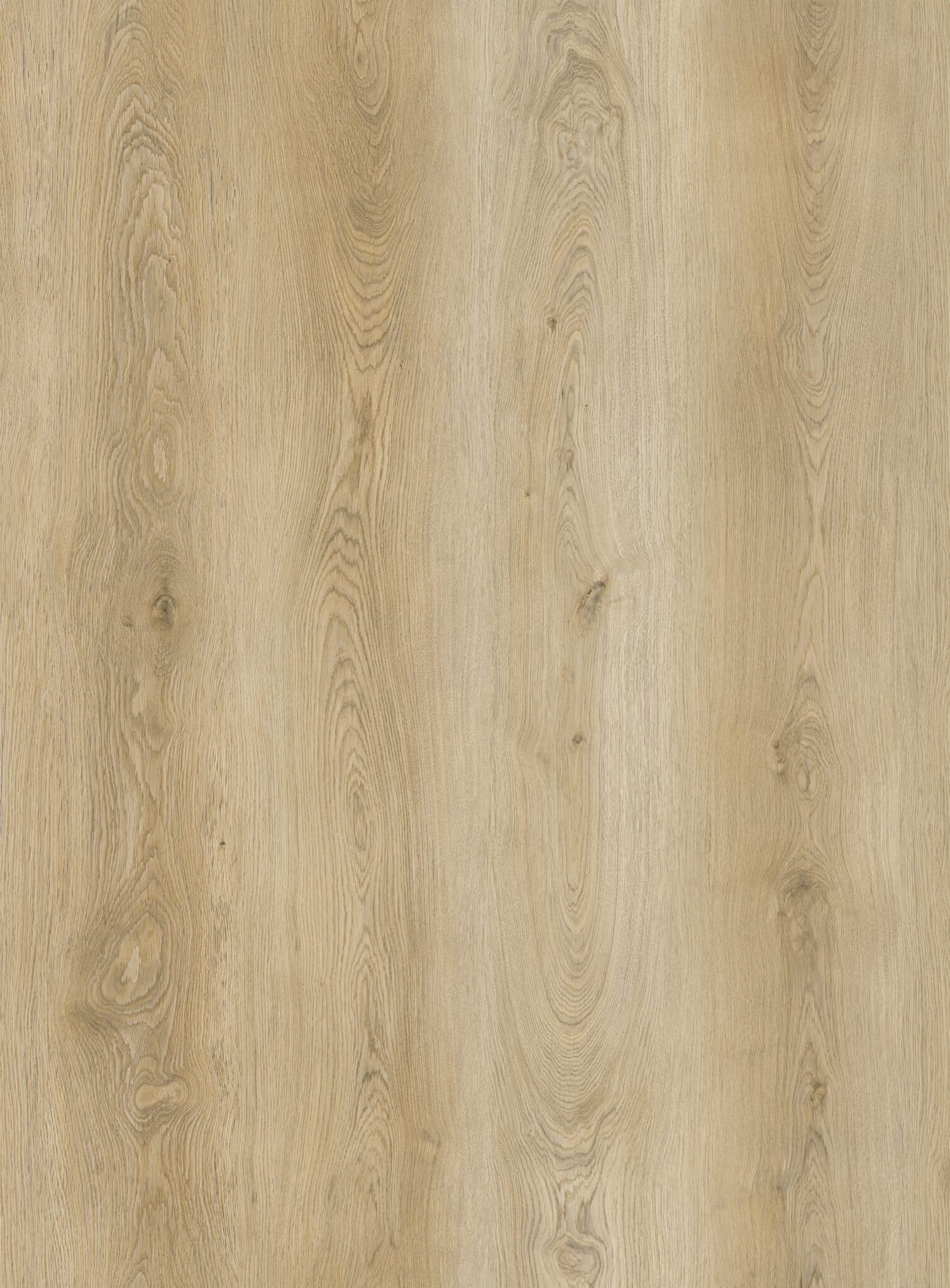 LVT Dryback planke gulv i farven eg